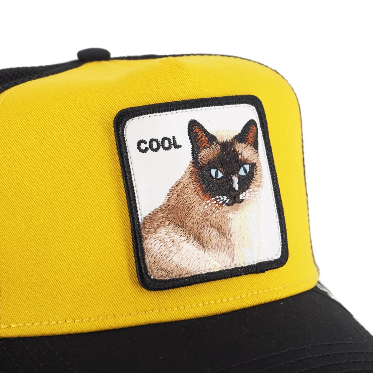 Cappello Da Baseball Cool Cat